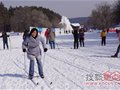 复地康桥 净月潭冰雪游园及越野滑雪欢乐举行