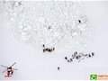 瑞士滑雪圣地再发雪崩 两人被埋(图)