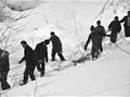 雪崩失踪者“007”遗体已找到 200多人搜救46小时