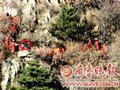 泰山女驴友坠亡续：违规进山驴友少多了