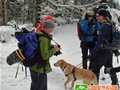 盲人和他的导盲犬一个冬季完成“48座峰”计划