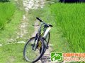 2012踏春点按穴位救急应对小伤妙招