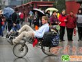 德国小伙骑自行车8个月来到西安 说喜欢西安小吃