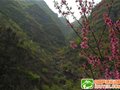 豫西大峡谷将举办户外踏青登山节