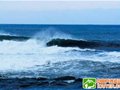 ASP世界职业冲浪巡回赛将在韩国济州岛举办