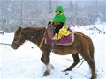 宁波大自然户外俱乐部忻雪明：带三岁女儿骑马过雪山