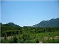 北师大绿色营地协会“野孩子”阳台山徒步
