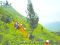 驴友登山不慎坠崖 发来微弱信息向警方求救