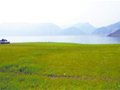 驴友乱丢垃圾 北方香格里拉环境遭破坏