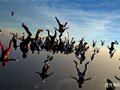 极限运动之美 138人同时垂直跳伞打破纪录