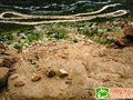 安全行走川藏线建议：防范天灾风险及抢劫