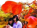 香山红叶文化节开幕 五处古迹遗址赏红叶