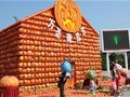 上海欢乐谷 15万只南瓜的惊心万圣节