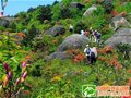 建宁金铙山帐篷节暨首届负重登山赛11月上旬举行