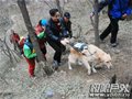 导盲犬助盲障驴友穿越棋盘山