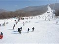 冰雪度假五感之旅全面开启 北大壶引爆今冬白色狂潮！