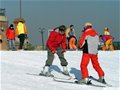 新手必看：初学滑雪技巧分解（初进雪场到犁式回转）