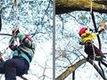 福州青少年爱上爬树课 既练胆量又练技巧