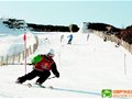 全省第三届大众高山滑雪赛举行