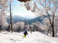 春季度假首选黄金纬度 粉雪天堂北大壶实难错过