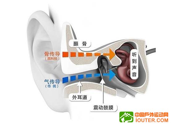 说明: timg (3)