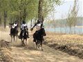 第五届中国砀山国际马术耐力赛在黄河故道举行促文旅产业升级